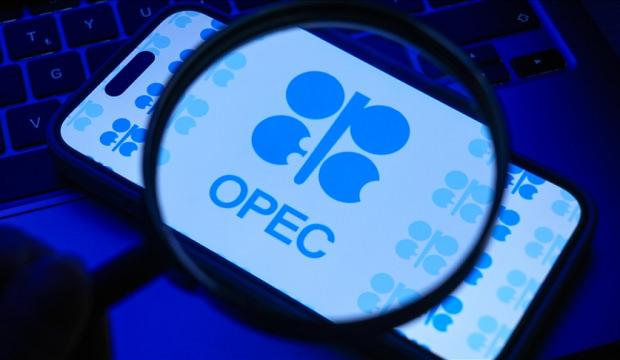 Y&uuml;zde 13 d&uuml;ş&uuml;ş: BAE'nin OPEC&rsquo;ten ayrılması k&uuml;resel piyasalarda deprem etkisine neden oldu