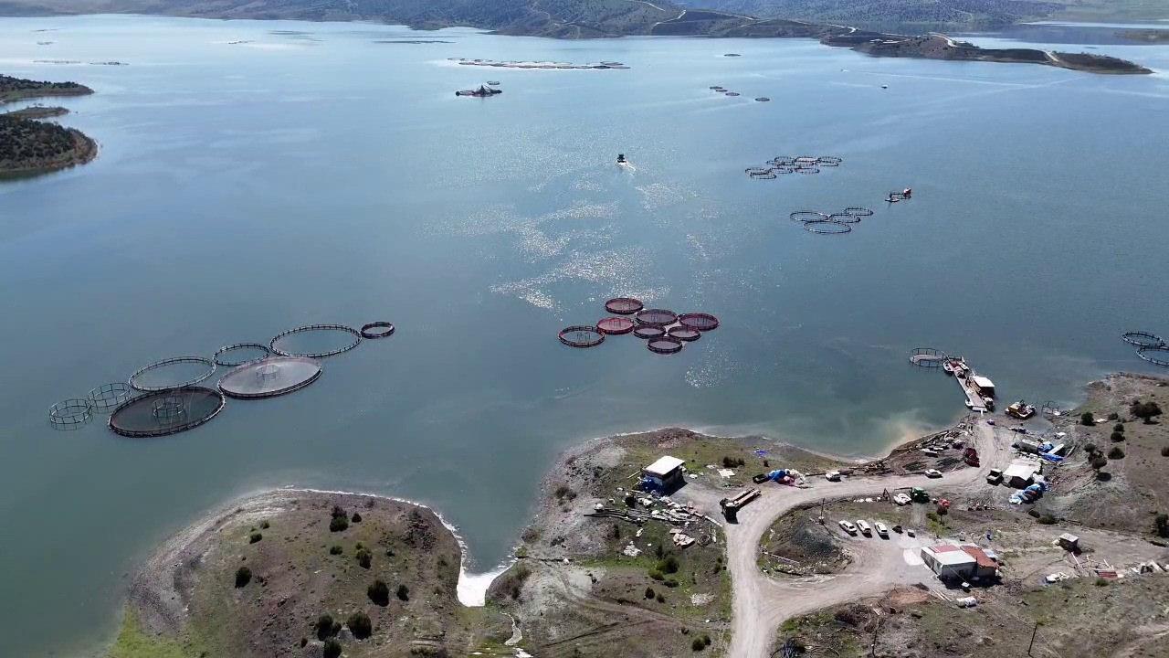 Karadeniz’e rakip çıktı: Bozkırın ortasında yetiştirip Avrupa'ya satıyorlar!