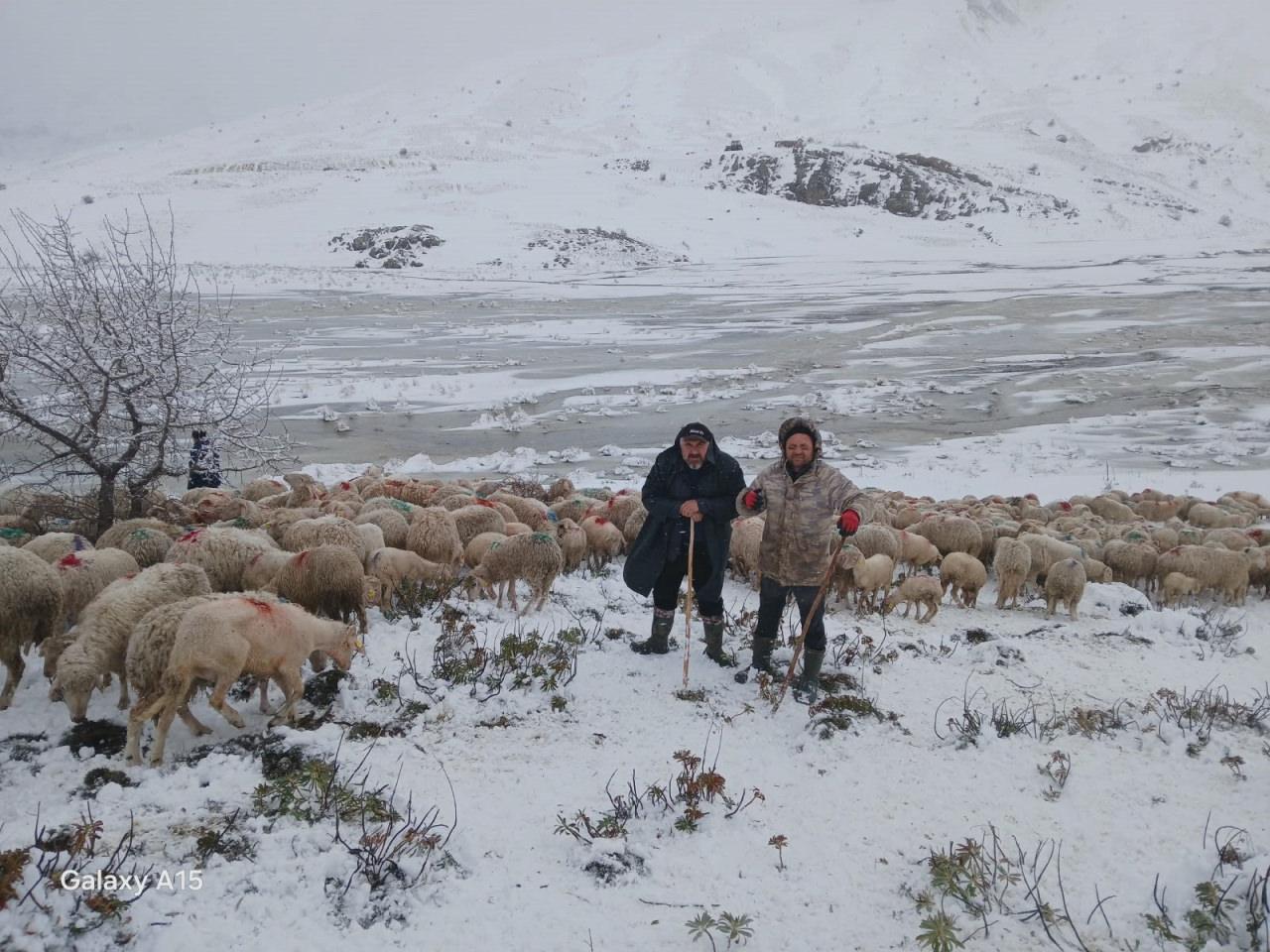 Tipi vurdu heyelan yolu kapattı, 2 çoban ve yaklaşık 650 küçükbaş hayvan yaylada mahsur kaldı.