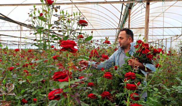 &Uuml;reticiden 20 TL'ye &ccedil;ıkıyor: &Ccedil;i&ccedil;ek&ccedil;ide 200 lira