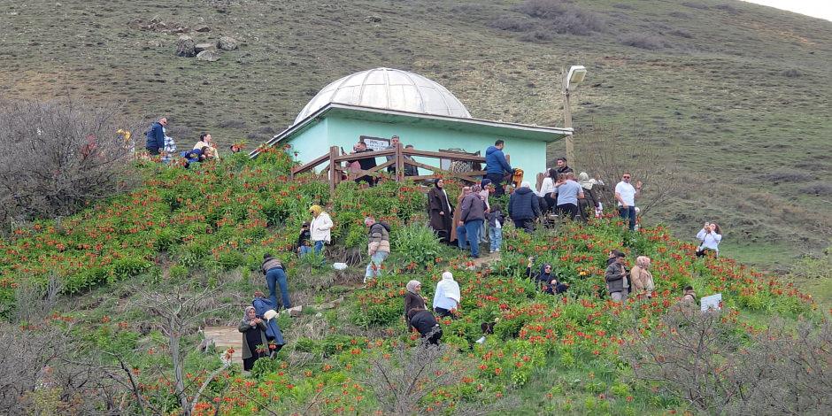 G&ouml;rmek i&ccedil;in Trabzon&rsquo;dan Van&rsquo;a geldiler: Tabiat harikası y&uuml;z&uuml;n&uuml; g&ouml;sterdi