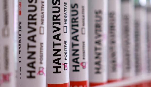 Herkesin aklında tek soru! Hantavir&uuml;s insandan insana bulaşır mı?