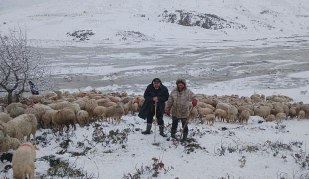 Isparta'da tipi ve heyelan esareti: 2 &ccedil;oban ve 650 k&uuml;&ccedil;&uuml;kbaş yaylada mahsur kaldı