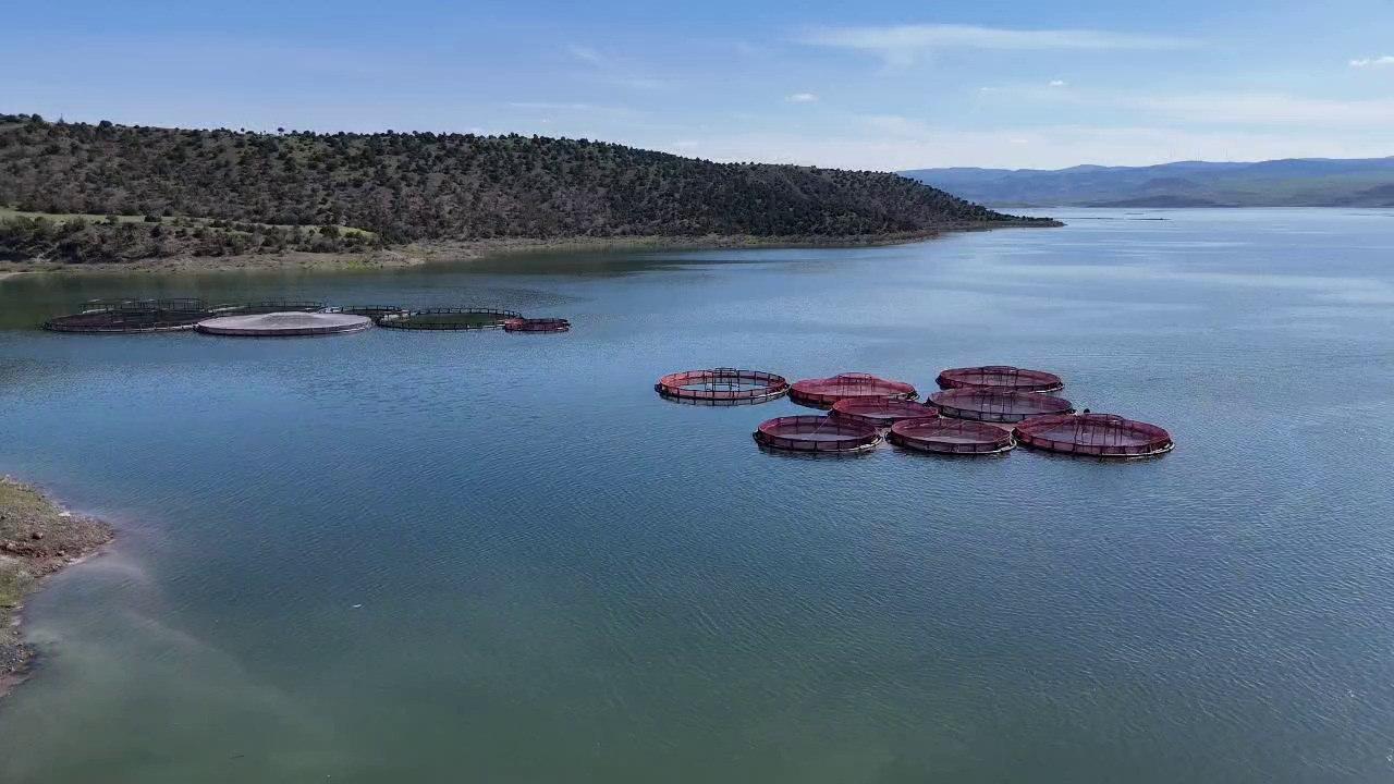 Karadeniz’e rakip çıktı: Bozkırın ortasında yetiştirip Avrupa'ya satıyorlar!