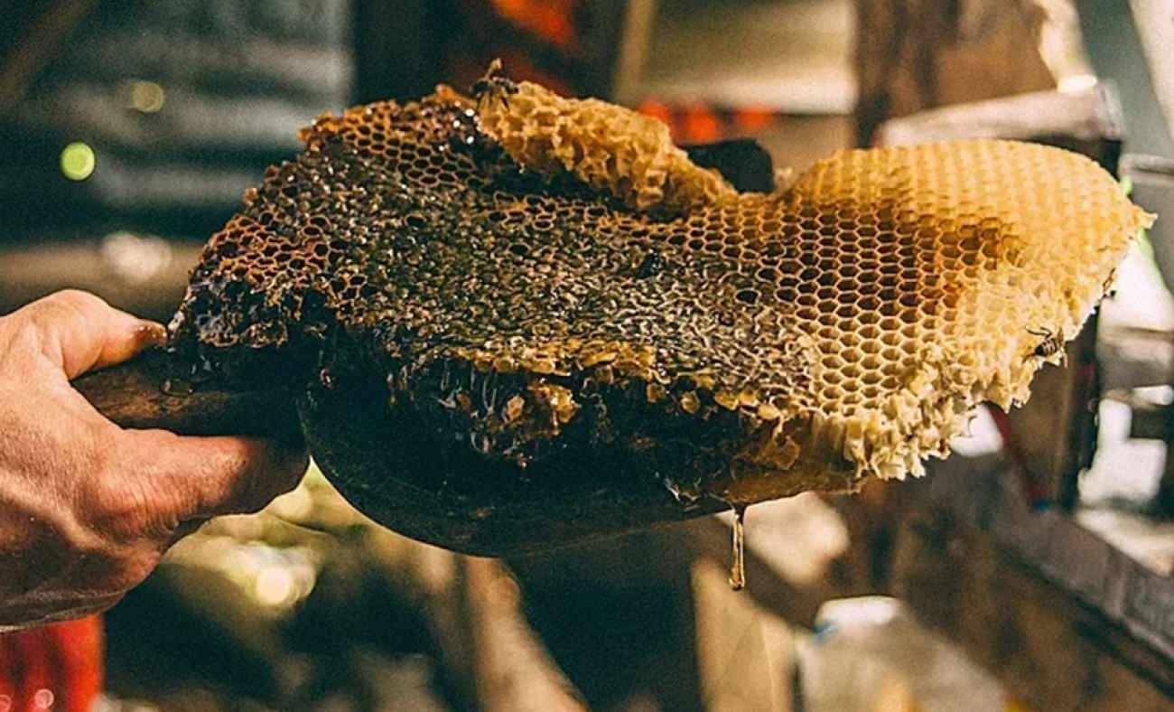 Sadece T&uuml;rkiye'de var: Guinness Rekorlar'a adını yazdırdı kilosu 264 bin TL!