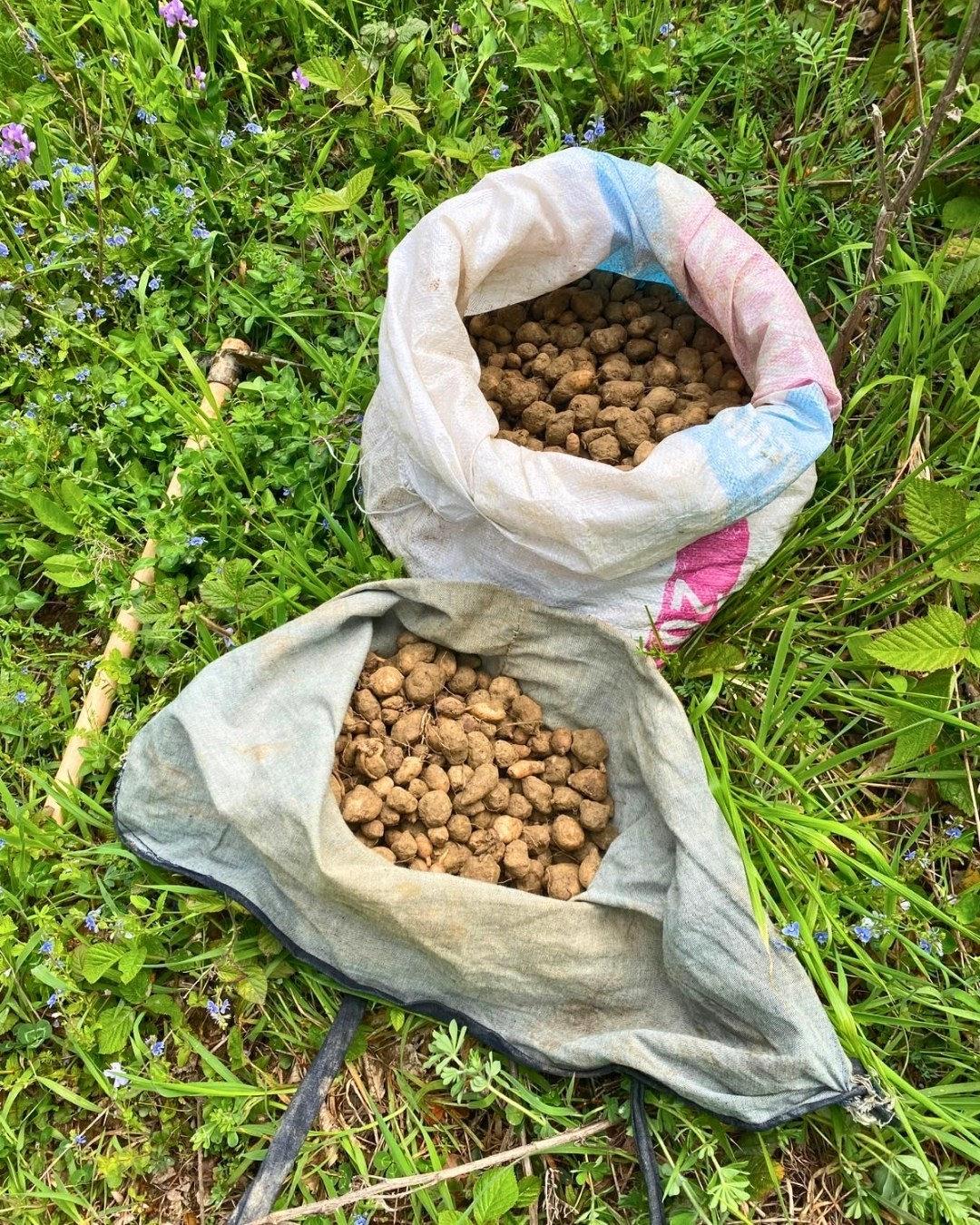 699 bin 245 TL idari para cezası uygulandığı bildirildi.