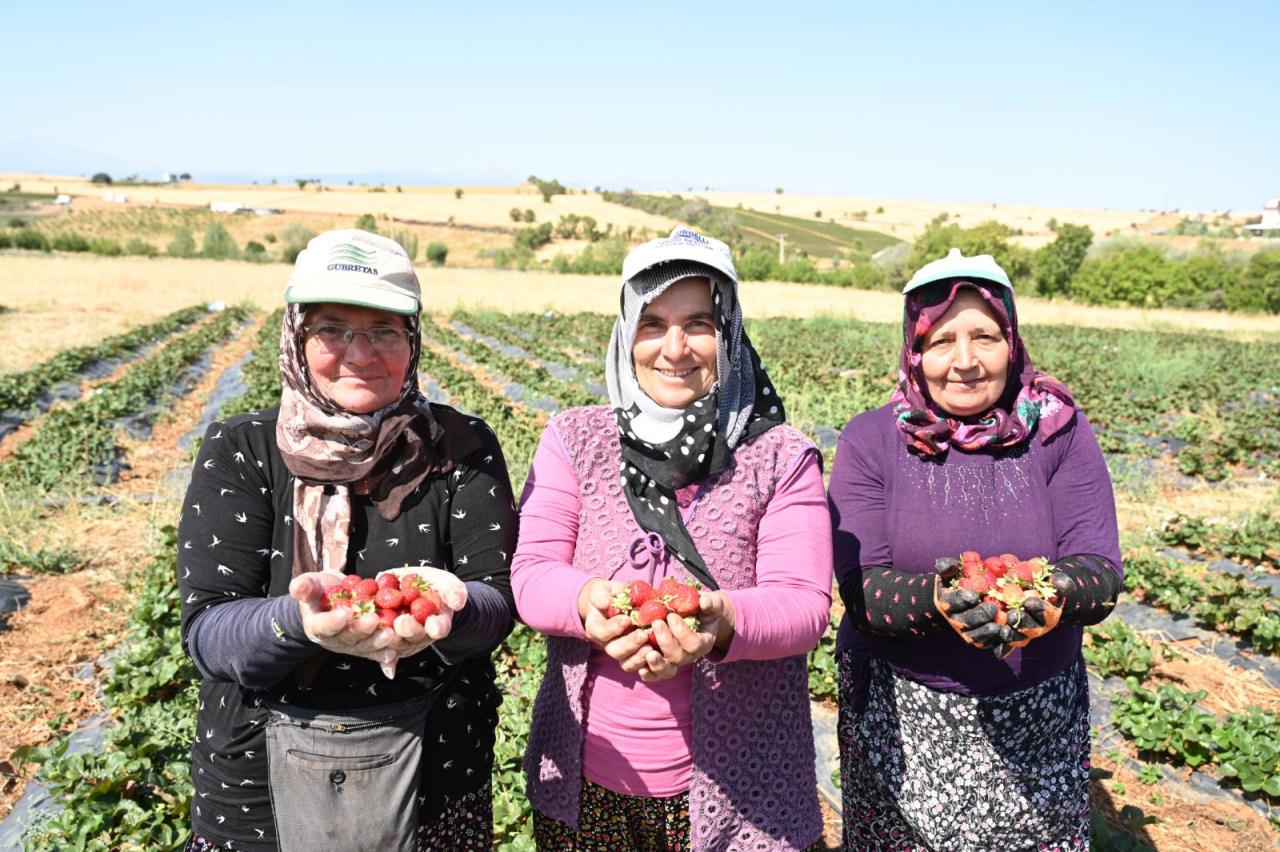 Başkan Altay, 14 Mayıs Dünya Çiftçiler Günü’nü kutlayarak bir mesaj paylaş yayımladı. 