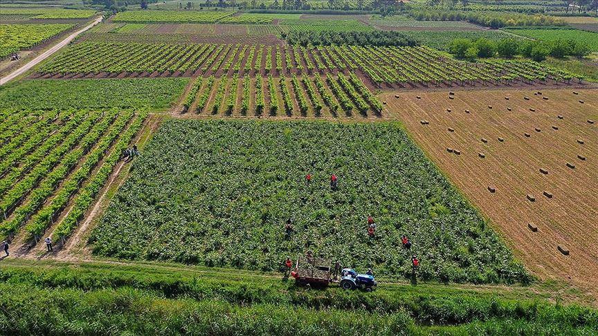 Üreticilere 374,7 milyon liralık IPARD-III ödemesi hesaplarda