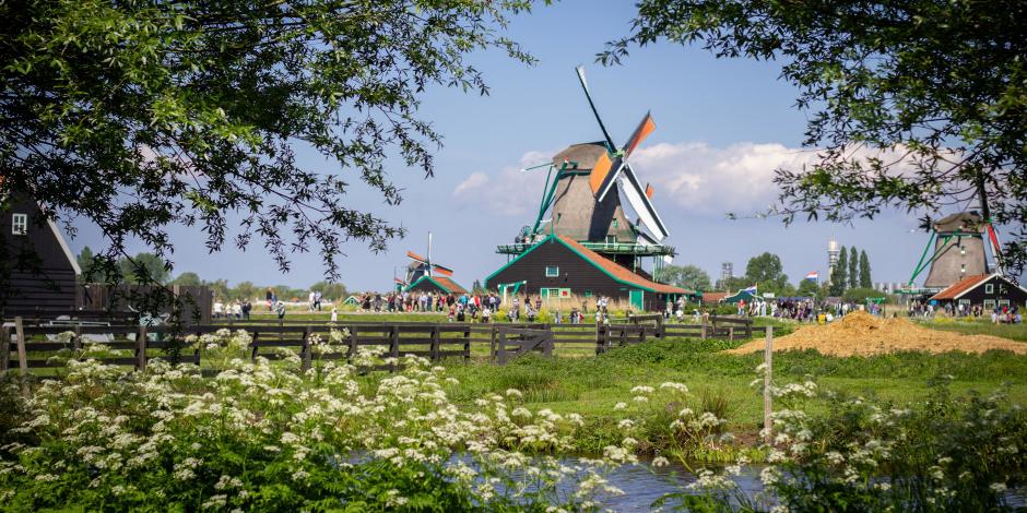 Y&uuml;zlerce yel değirmeni kapılarını a&ccedil;tı: Hollanda&rsquo;da Ulusal Değirmen G&uuml;n&uuml; kutlandı