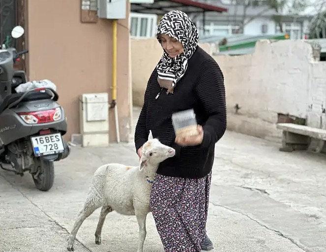 Müyesser Sevinç, kuzusuna kavuştu.