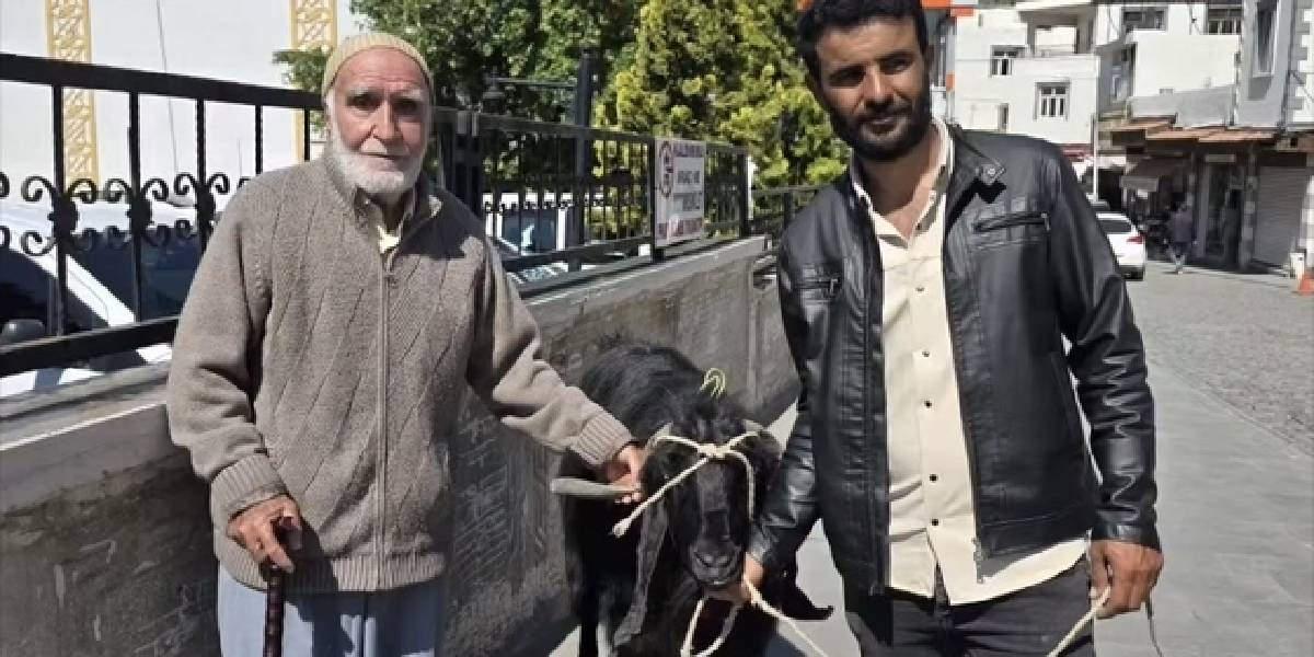 Tam tamına 70 kilo! Dev keçiye verilen rakam dudak uçuklattı