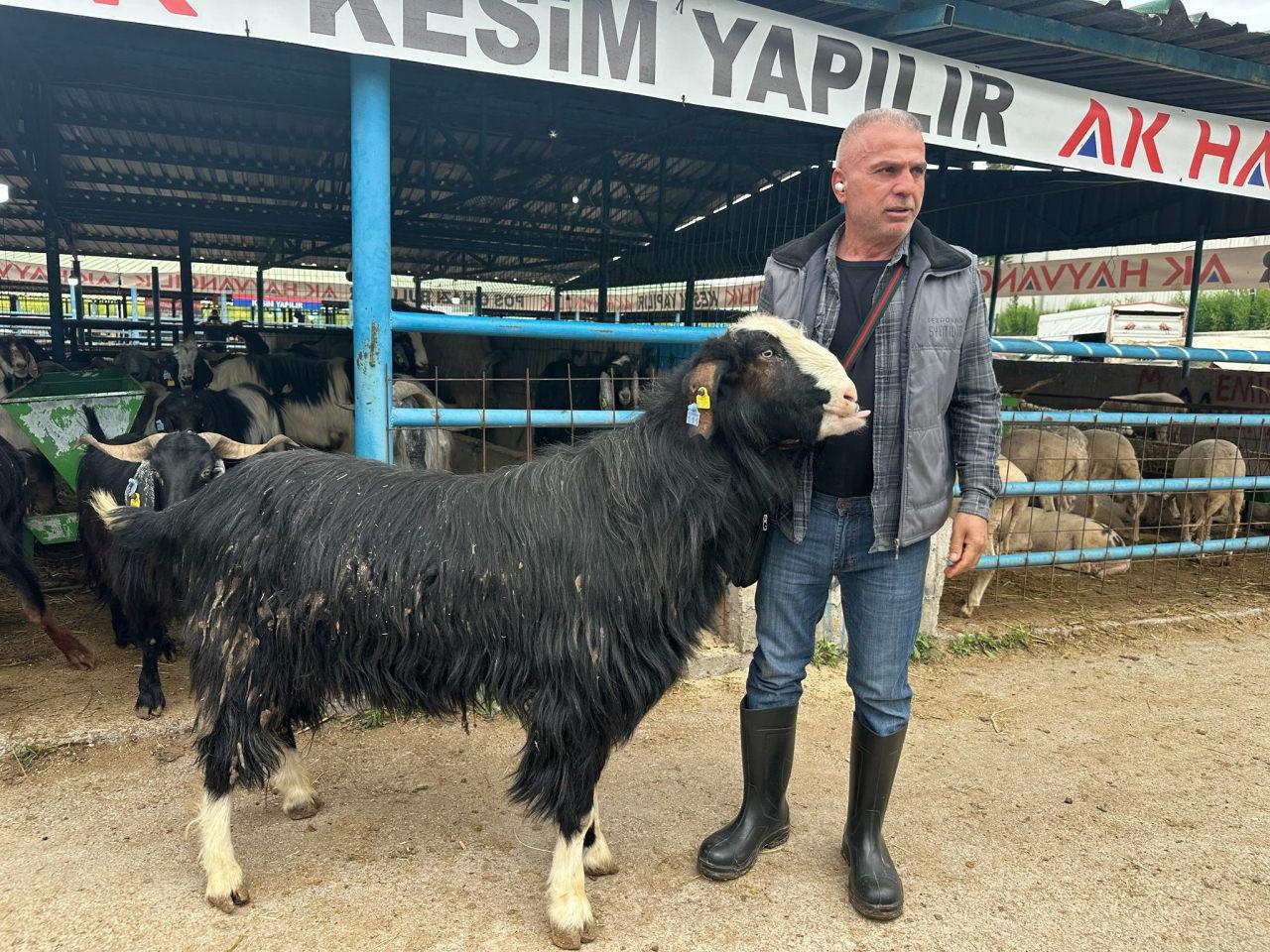 Reşat Çimendağ, 120 kilogramlık keçiyi 47 bin liraya sattı. 