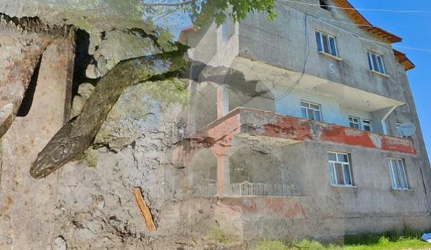 Boyları &uuml;&ccedil; metre! Evlerini sardılar: Uyumak haram oldu