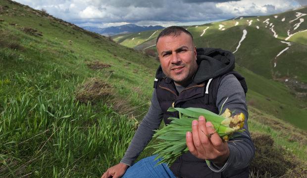 Şifalı ot i&ccedil;in dağlara tırmanıyorlar: Yazın gelmesiyle zorlu mesai başladı