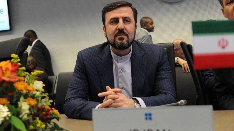 İran Dışişleri Bakan Yardımcısı Kazım Garibabadi açıklama yaparken