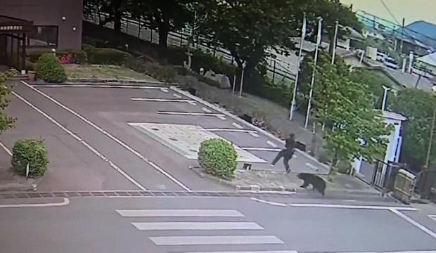 Japonya'da ayı saldırsı kamerada!