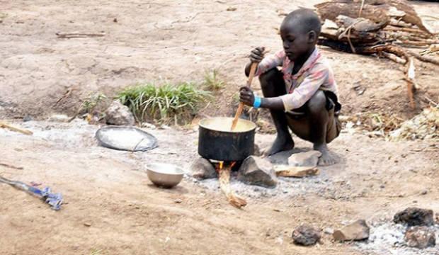 Afrika'nın gıda paradoksu: Verimli topraklar, a&ccedil;lıkla m&uuml;cadele eden milyonlar