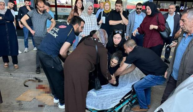 Elazığ'da terminalde dehşet anları: Kurt cinsi k&ouml;pek kadına saldırdı