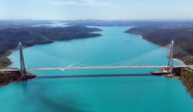 İstanbul Boğazı tropikal koylara d&ouml;n&uuml;şt&uuml;, yunuslar akın etti