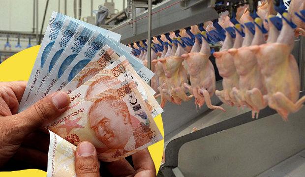 Beyaz et karteline operasyon: Kayyum atanan 13 şirketin gizli yazışmaları raporlarda!