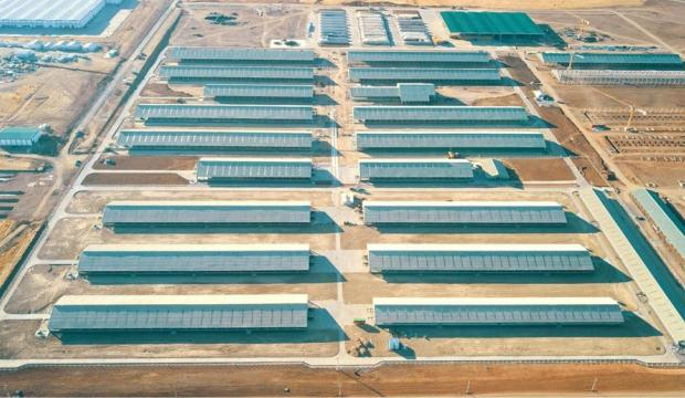 Bir fabrikanın &ouml;tesinde: Bing&ouml;l'de yeni bir ekonomik ekosistem doğuyor