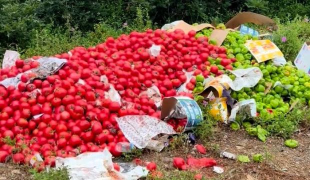 &Ccedil;anakkale'de vicdan sızlatan g&ouml;r&uuml;nt&uuml;: Kilolarca sağlam sebze ormana d&ouml;k&uuml;ld&uuml;