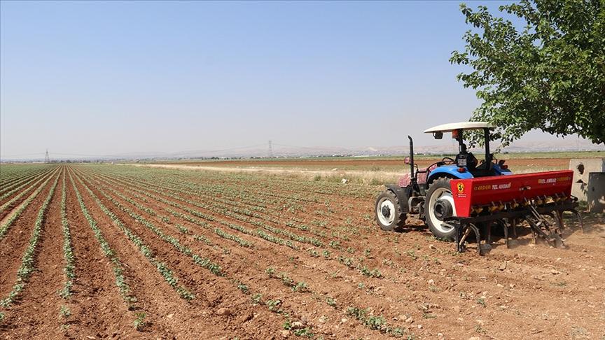 Avrupa Birliği'nden çiftçilere 540 milyon avroluk gübre desteği