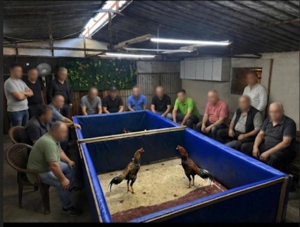 Çiftlik mühürlendi.