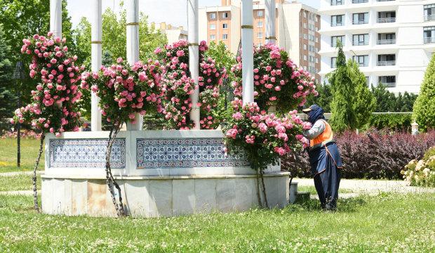 Konya B&uuml;y&uuml;kşehir, cadde ve parkları &ccedil;i&ccedil;eklerle donattı 