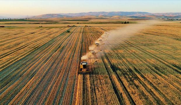 T&uuml;rkiye iklim krizi i&ccedil;in d&uuml;ğmeye bastı! Nefes aldıracak 'karbon yutak ormanları' geliyor
