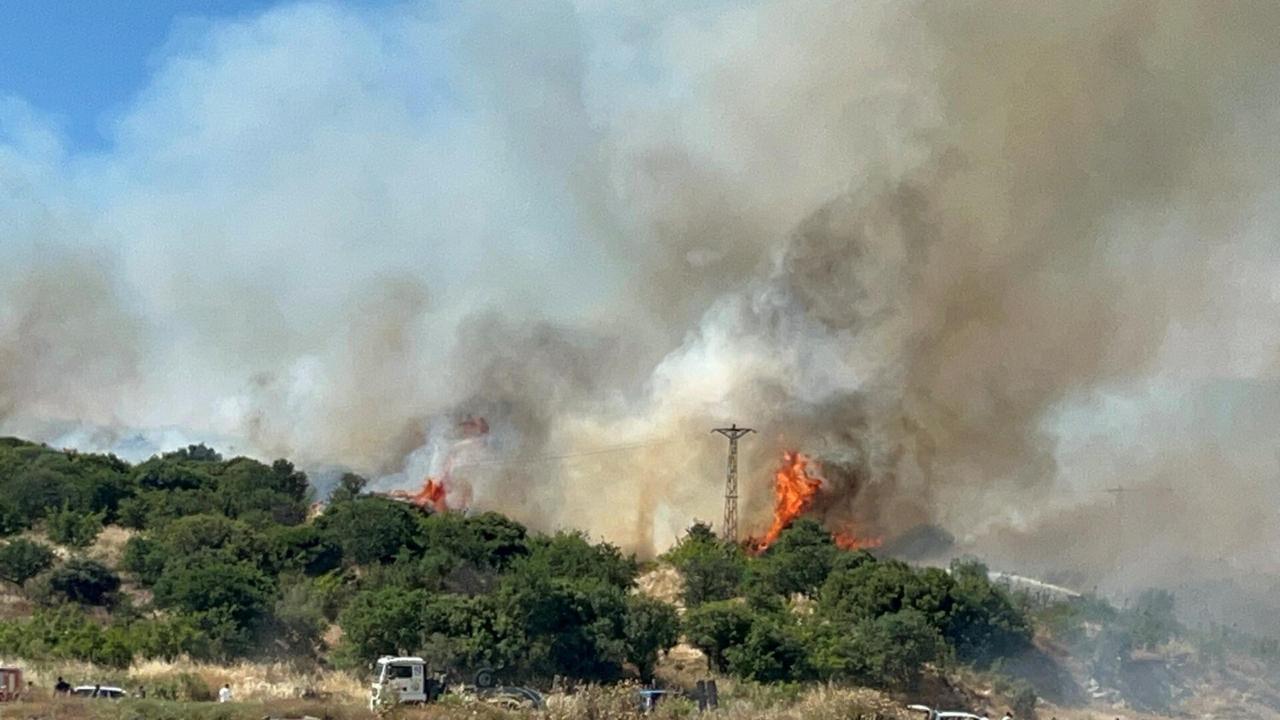 Çanakkale'de orman yangını