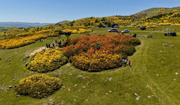 Ordu'nun y&uuml;rek sızlatan efsanesi ile &uuml;nl&uuml; Kırkkızlar Obası, renkleriyle mest etti