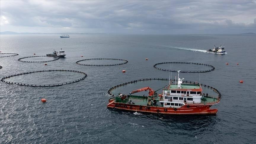 Doğu Karadeniz’den dev ihracat atağı! 5 ayda tam 73 milyon dolar kazandırdı