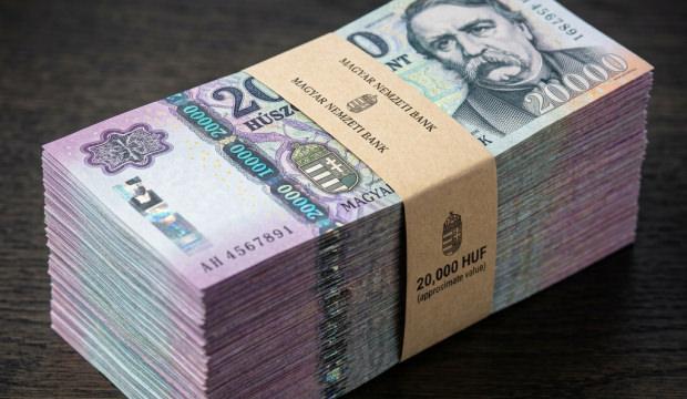 Bir &uuml;lke daha Euro'ya ge&ccedil;iyor! Ama masada dev bir engel var