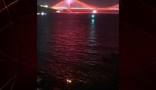 Fren yerine gaza basınca denize u&ccedil;tu:"K&ouml;pr&uuml; manzarasına karşı battı"