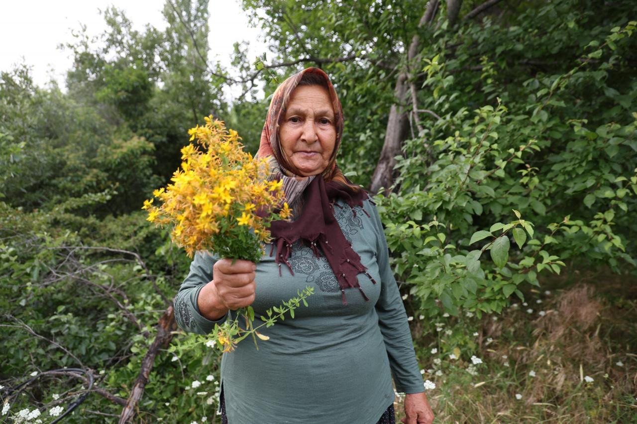 Atike Ersin (63)