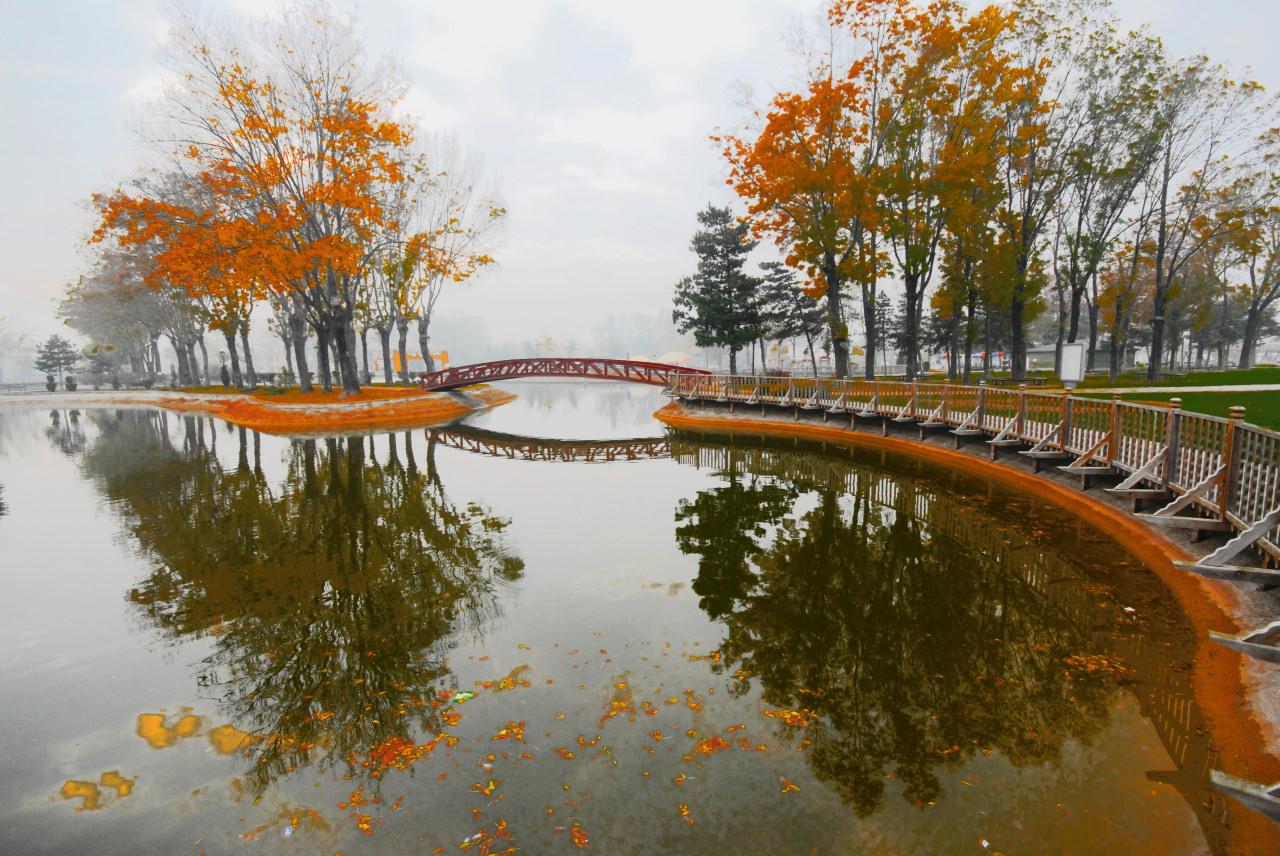 Şehir Parkı