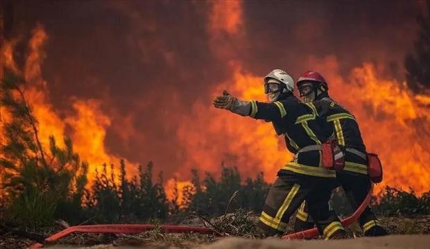 Fransa'da 900 hektarlık orman k&uuml;le d&ouml;nd&uuml;