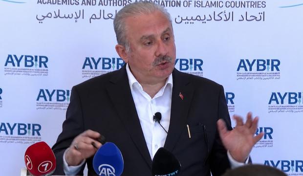 İstanbul'da "Suriye'de Yeni Anayasa ve Toplumsal Barış" paneli d&uuml;zenlendi