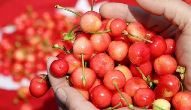 Yediği kiraz sonu oldu! Korkun&ccedil; ş&uuml;phe