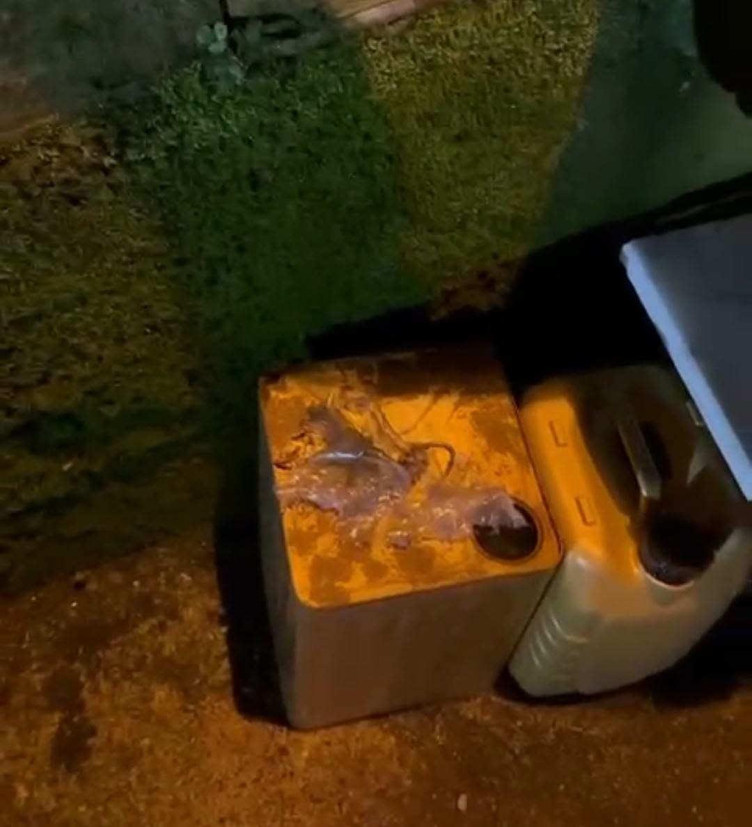 Giresun'da gizemli patlama sesi