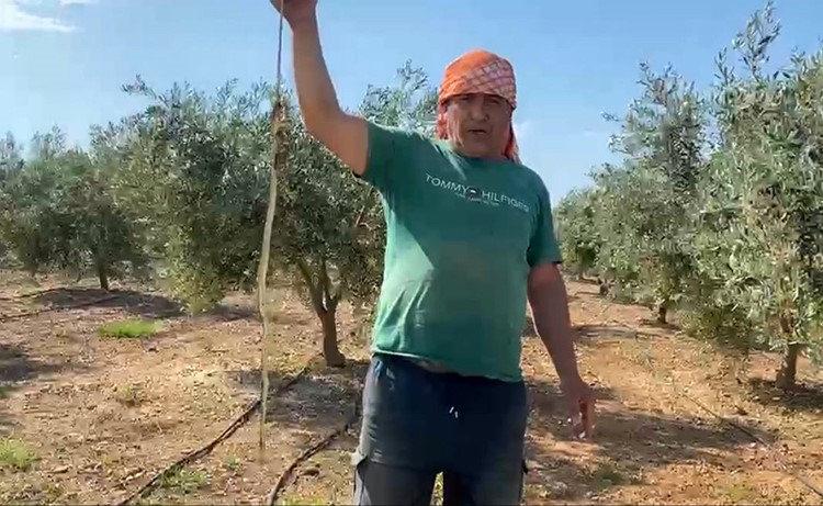 Bülent Nehoş