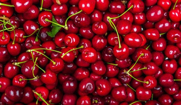 &Ouml;l&uuml;m nedenleri tam olarak bilinmiyor: En son bah&ccedil;e kirazı yemişlerdi