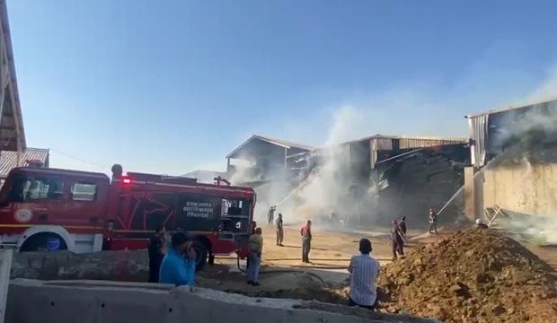 Şanlıurfa'da hayvan &ccedil;iftliğinde yangın