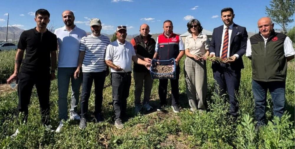 'Yetişmez' deniyordu ekonominin yıldızı oldu: Kilogramı 15 bin liraya satılıyor!