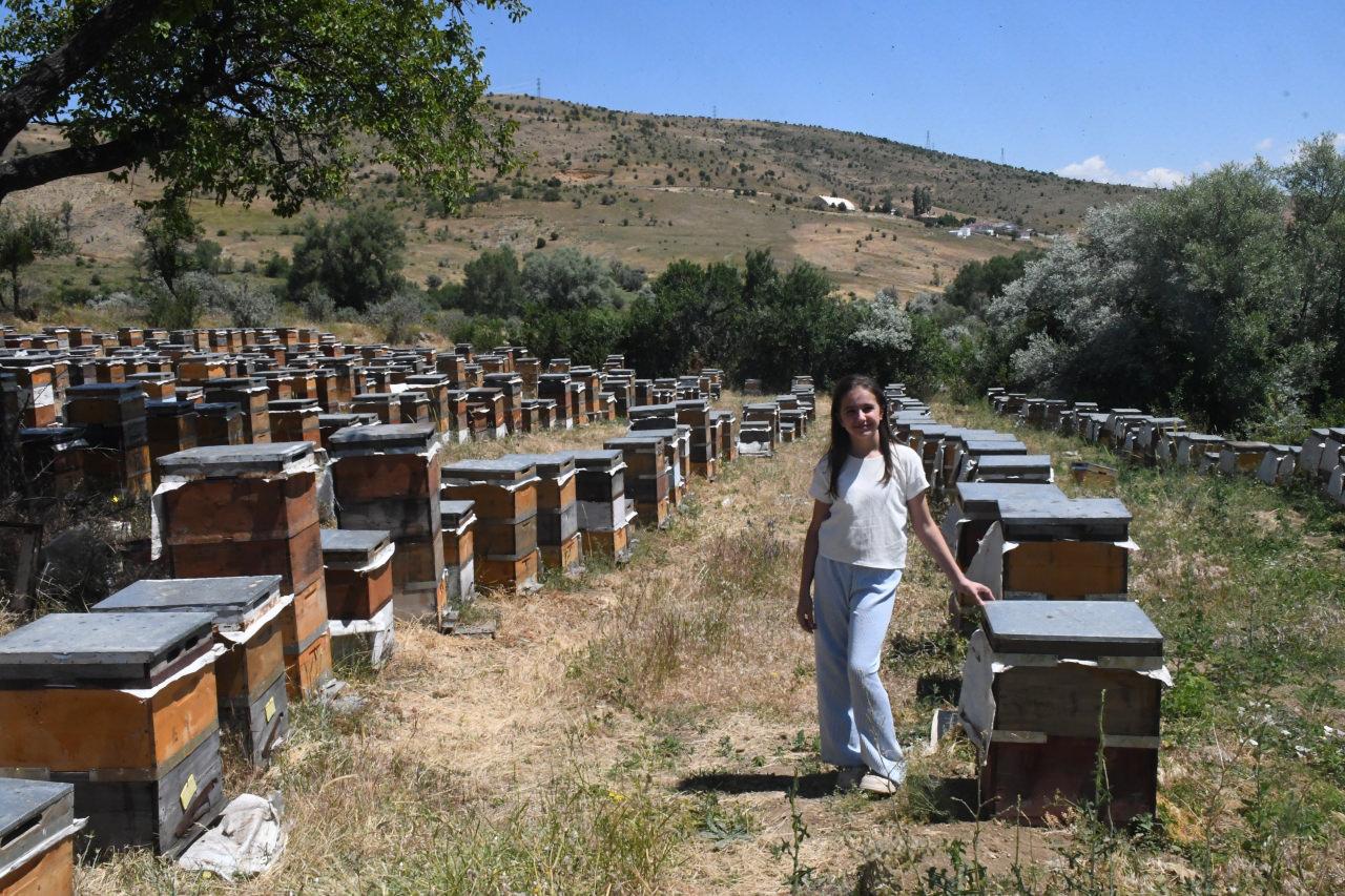 Karadenizli arıcılar memleketi bırakıp akın etti: Sebebi doğanın mucizesinde gizli!