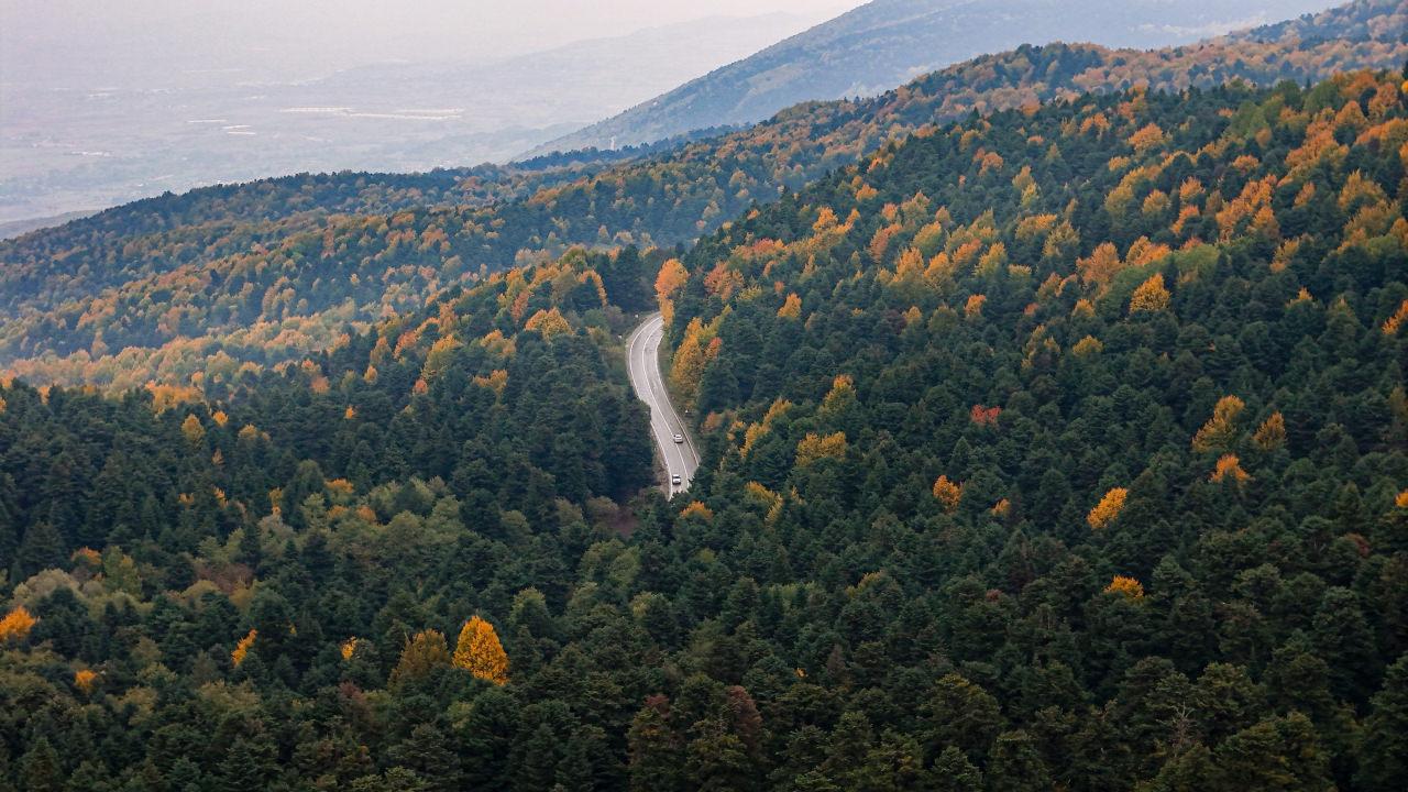 Bolu'da ormanlara giriş 30 Eylül'e kadar yasaklandı.