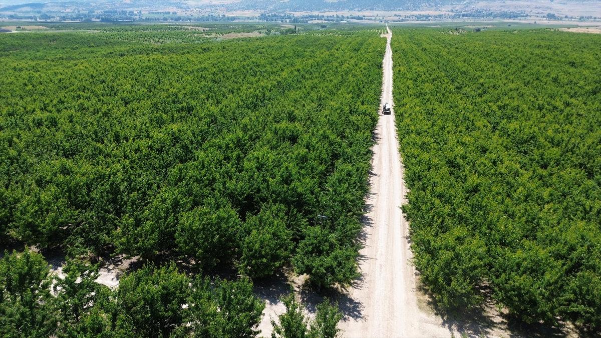 'Sınırları kaldıralım' dediler, servete kondular: Bir köyün kaderini değiştiren karar!