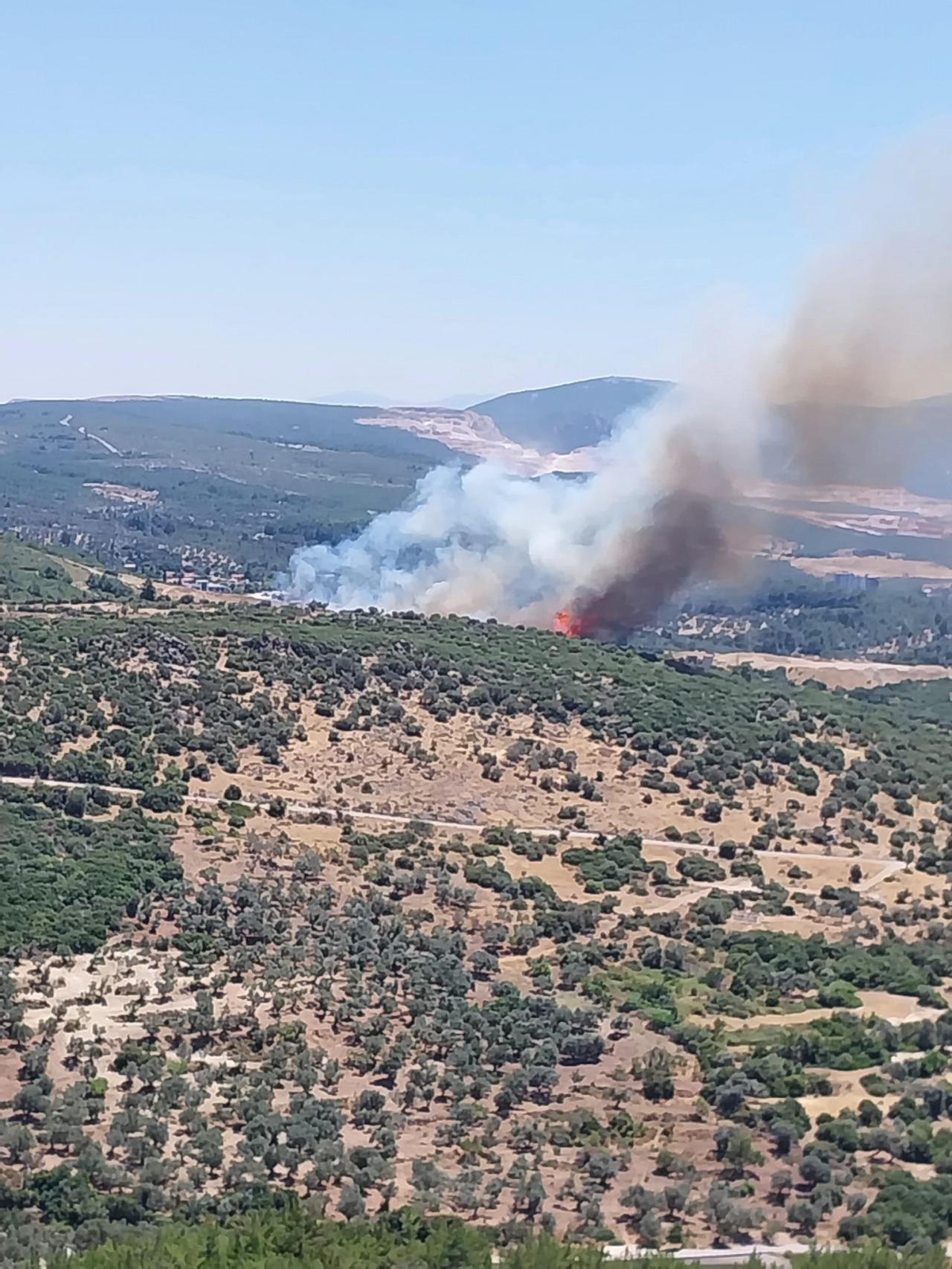 İzmir Bornova'da orman yangınına müdahale eden helikopterler ve arazözler.