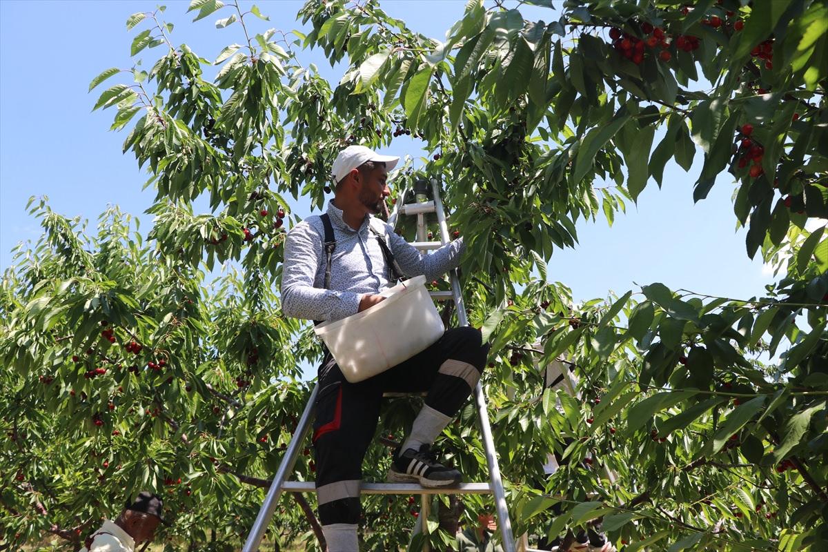 'Sınırları kaldıralım' dediler, servete kondular: Bir köyün kaderini değiştiren karar!